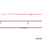 Delphin QUEEN Candy | 300cm/3.0lbs/2 diely