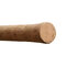Delphin ZEPHYR Spin | 180cm/20g