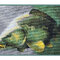 Rohož 3D kapor | 60x40cm