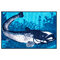 Rohož Delphin CatchME! SUMEC I 60x40cm