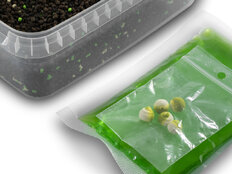 Pellet box Delphin Reaxe READY&GO | Ail-butyric/400g+120ml booster+10mm wafters