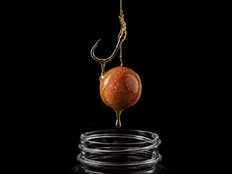 Booster Delphin BreaX/PassionKRILL | Krill-Mangue/250ml