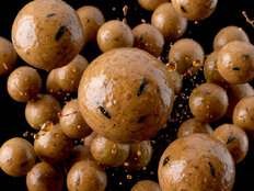 Bouillettes dippées Delphin BreaX/NutCAKE