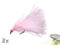 Lot de mouches Delphin FLY / 10 pcs | Pond trout