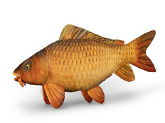 Peluche carpe Delphin CARPY