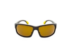 Lunettes polarisante Delphin SG TRIP