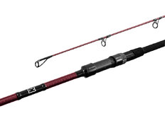 Canne carpe Delphin ETNA E3 / 2 pcs