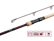 Canne carpe Delphin ETNA E3 cork / 2 pcs