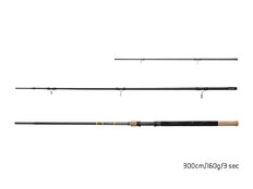 Canne Feeder Delphin RIVER Trophy NXT +4 scions