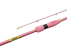 Canne carnassier Delphin QUEEN Spin