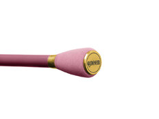 Canne carnassier Delphin QUEEN Spin