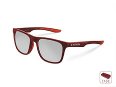 Lunettes polarisantes Delphin SG ATOMA