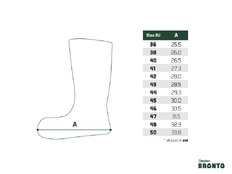 Semelle de rechange Delphin BRONTO / ourlet vert