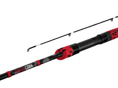Canne carnassier Delphin RedCODE