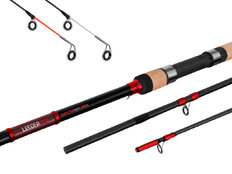 Canne Feeder Delphin LEEDER Feeder + 2 scions