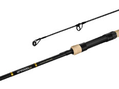 Canne carpe Delphin ARMADA NX BlackWay Cork