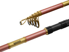 Canne carpe télescopique Delphin QUEEN Tele | 300cm/100g