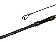 Canne carpe Delphin WONDER LS+