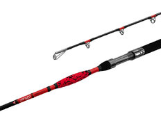 Canne carnassier Canne Feeder Delphin DANGER CatFISH