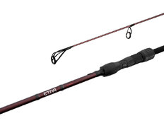 Canne carpe Delphin ETNA LEGEND4RY