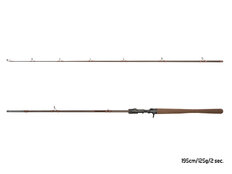Canne carnassier Delphin QUEST B´CAST