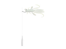 Hameҫon B! D-SHOT WACKY / 8pcs