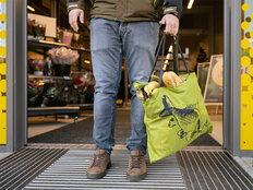 Sac fourre-tout Delphin ShopBAG CARP