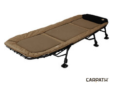 Delphin GT6 Carpath