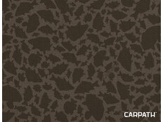Delphin Area RIG LUX Carpath