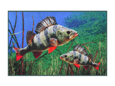 Paillason 3D perches | 60x40cm