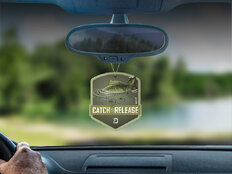 Parfums voiture Delphin CATCH and RELEASE | New car