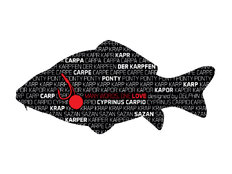 Autocollant CARPE série Words