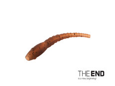 Aligneur de ligne WORMER THE END / par 6 | G-ROUND