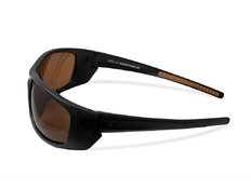Lunettes polarisante Delphin SG ESO