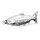 Flasque inox Delphin BOOST | 140ml