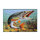 Paillason 3D brochet | 60x40cm
