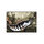 Paillason Delphin CatchME! Sandre | 60x40cm