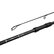 Delphin CASTIX